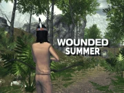 Wounded Summer Online adventure Games on NaptechGames.com