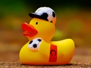 Yellow Ducks Puzzle Online Puzzle Games on NaptechGames.com